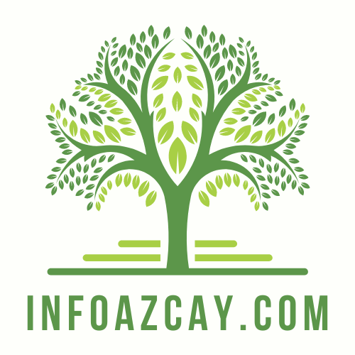 infoazcay.com