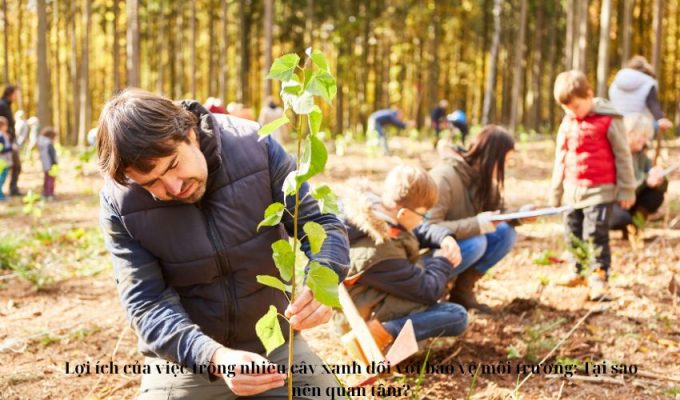 Lợi ích của việc trồng nhiều cây xanh đối với bảo vệ môi trường: Tại sao nên quan tâm?Lợi ích của việc trồng nhiều cây xanh đối với bảo vệ môi trường: Tại sao nên quan tâm?