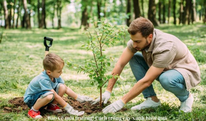 Bảo vệ môi trường: Cách trồng cây xanh hiệu quả