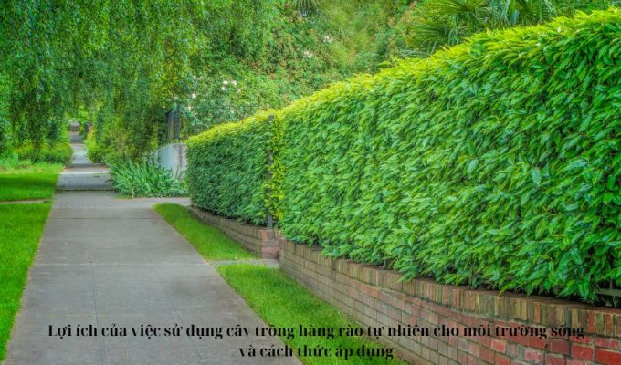 Lợi ích của việc sử dụng cây trồng hàng rào tự nhiên cho môi trường sống và cách thức áp dụng